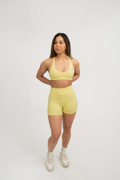 High Waist Shorts